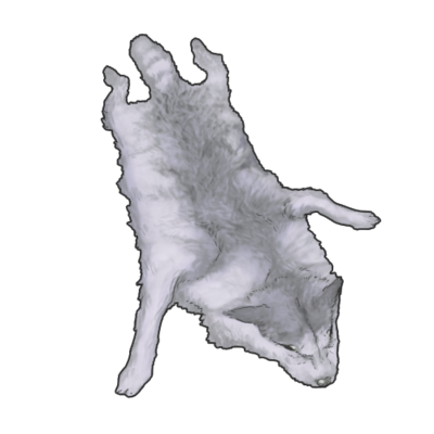 400x400 Blue Grey Wolf Pelt