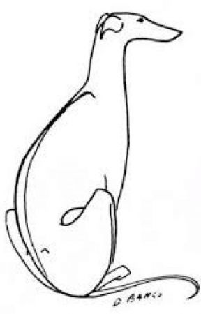 288x450 Greyhound Rp