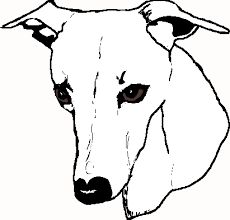 230x220 image result for greyhound line drawing greyhounds whippet