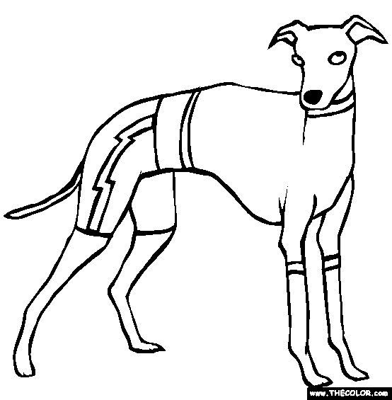 554x565 Italian Greyhound Coloring