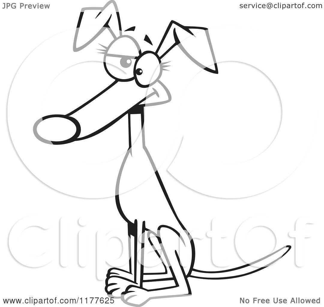 1080x1024 Cartoon Of An Outlined An Outlined Sitting Female Greyhound Dog