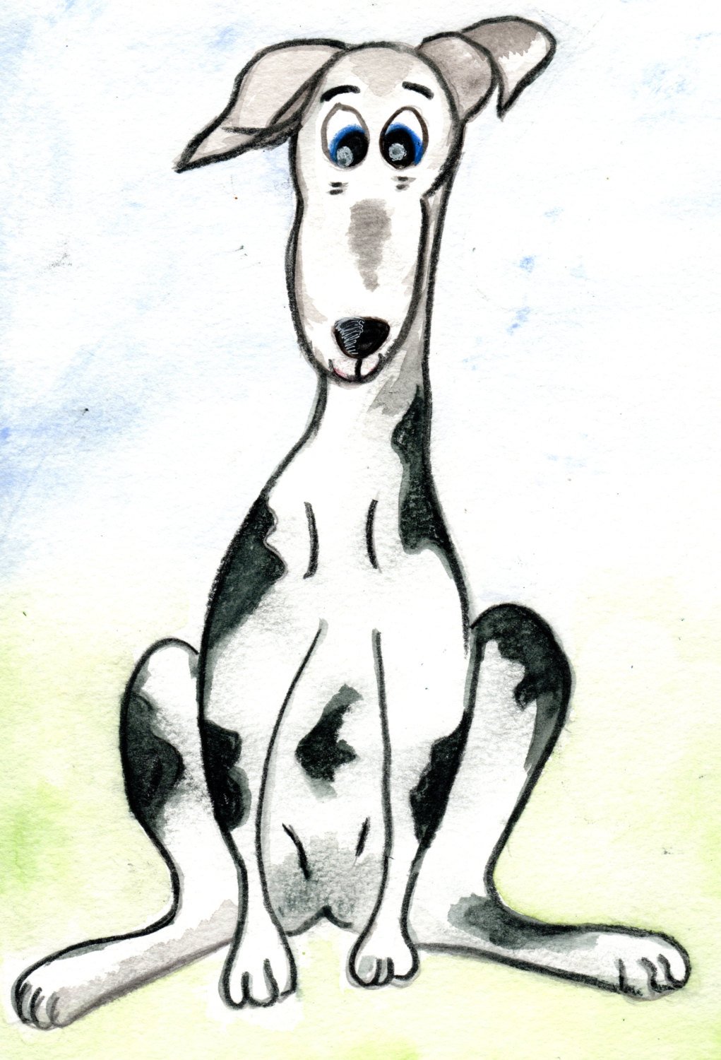 1021x1500 pencil art image of a quizzical looking sitting greyhound etsy