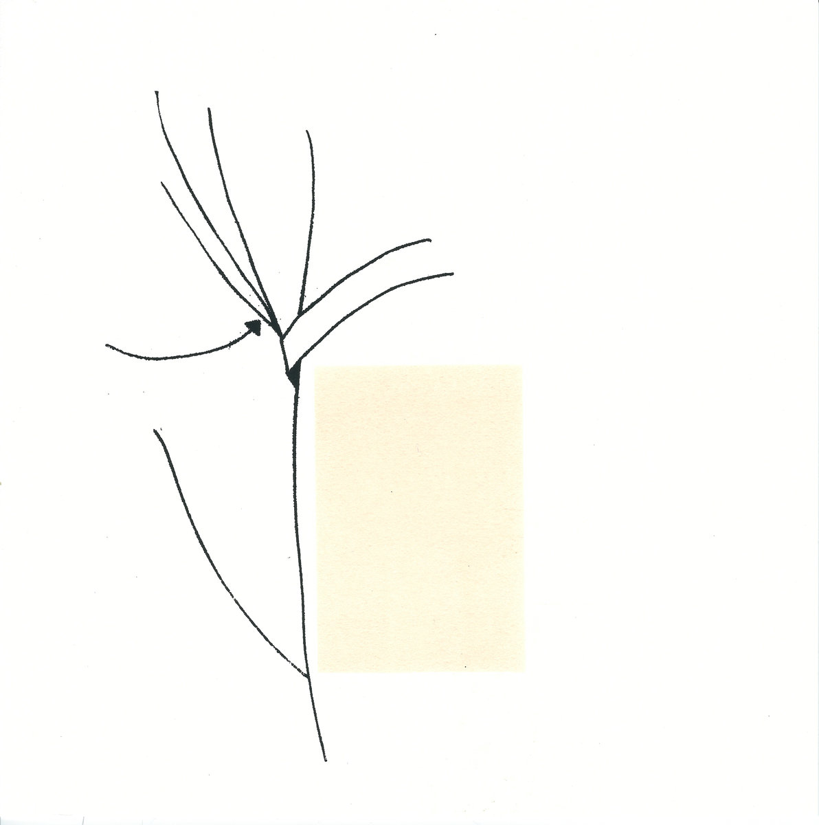 1192x1200 Inconsolable Grief Desert Of Hiatus