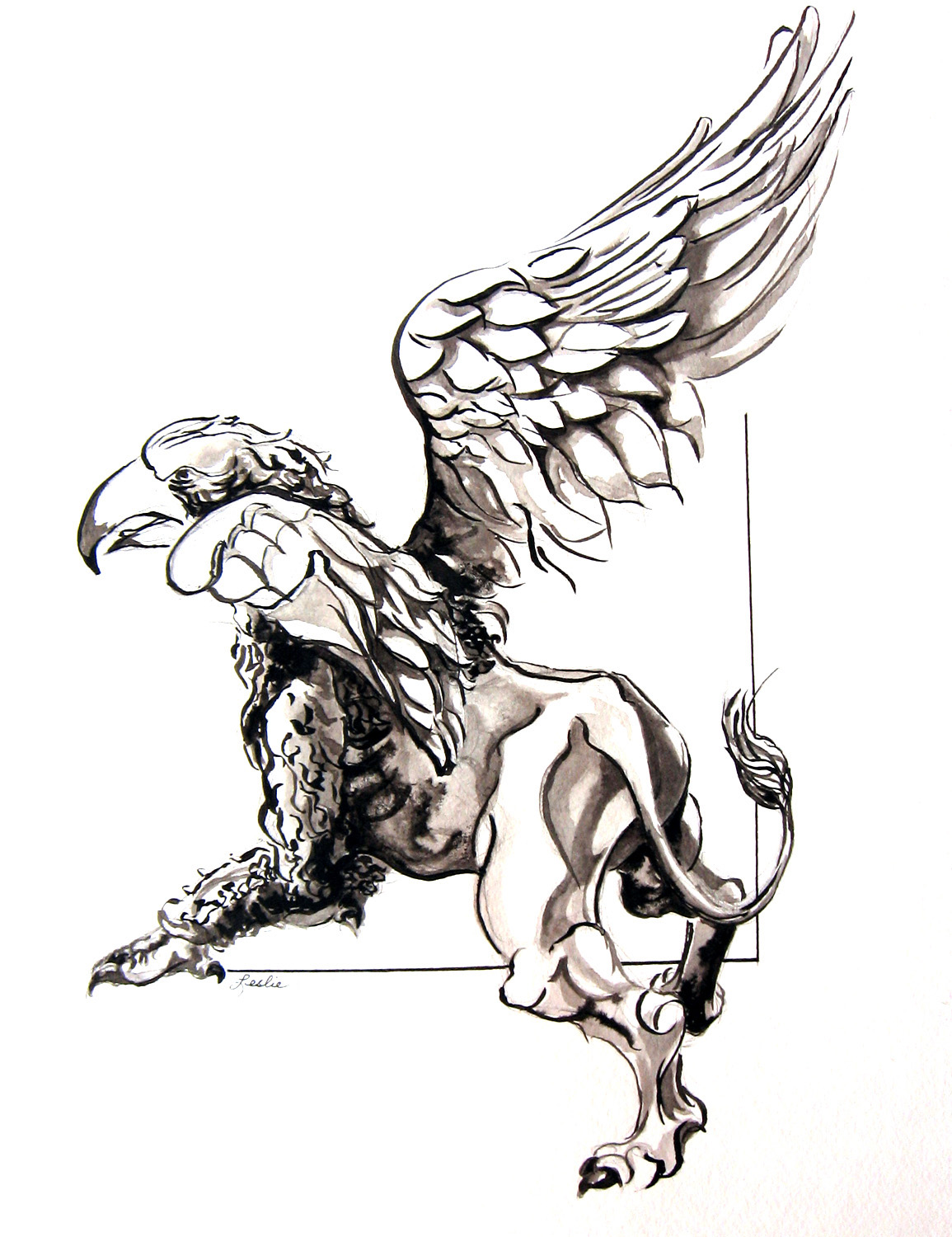 1155x1500 griffin a drawing leslie white