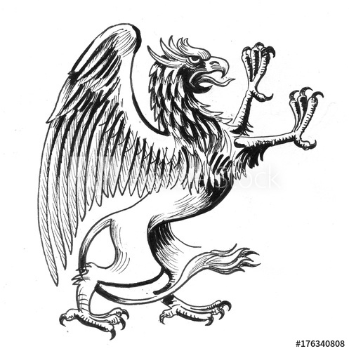 497x500 griffon