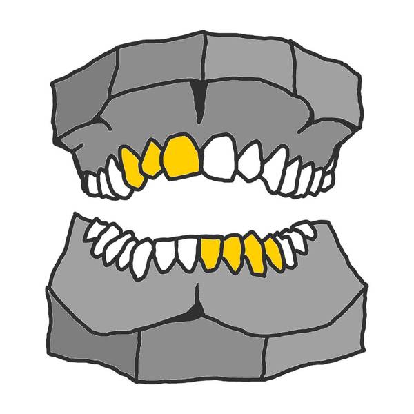 600x600 custom chrome grillz awe custom