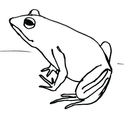 428x400 frog face drawing easy to draw frog face painting coloring pages