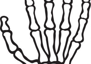 300x210 Skeleton Hand Sketch Cartoon Hand Drawing Illustration