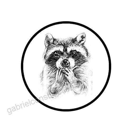 500x500 Smart Phone Pop Stand And Grip Socket With Smartphones And Tablets