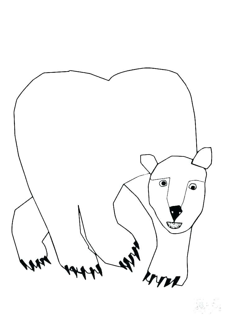 728x1030 Cute Grizzly Bear Drawings