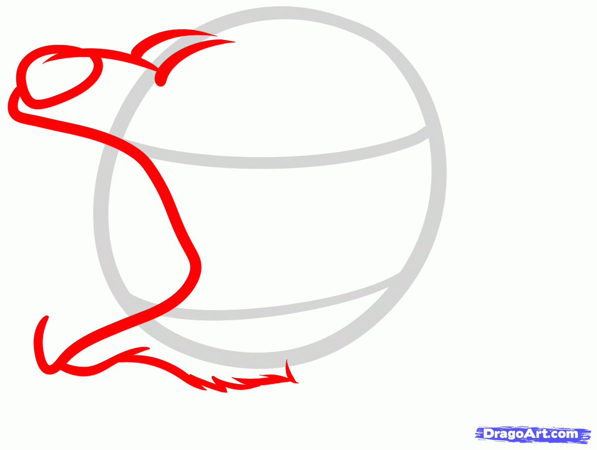 1210x913 Draw A Bear Face, Grizzly Bear, Step