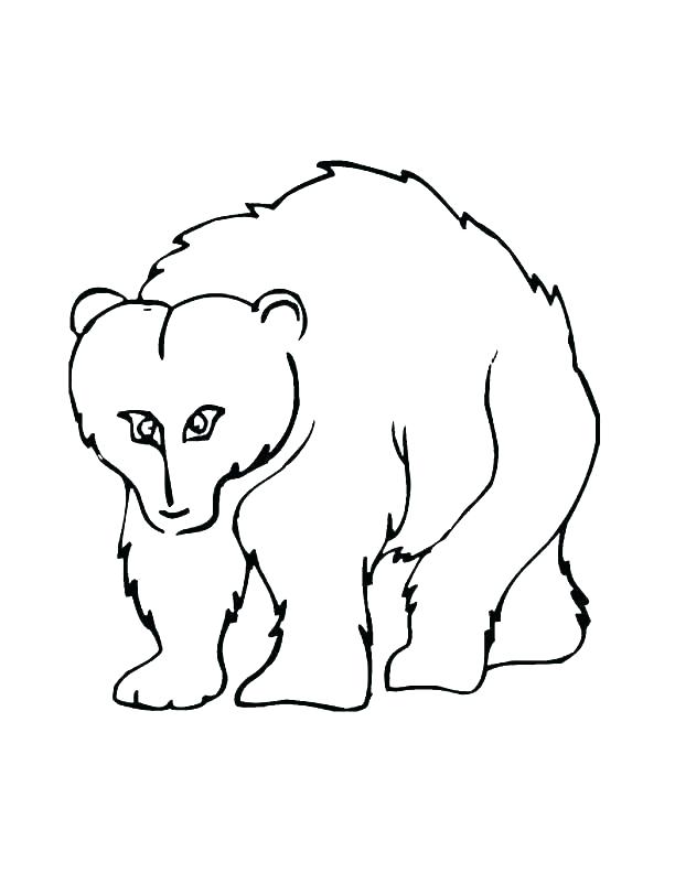 612x792 Grizzly Bear Coloring