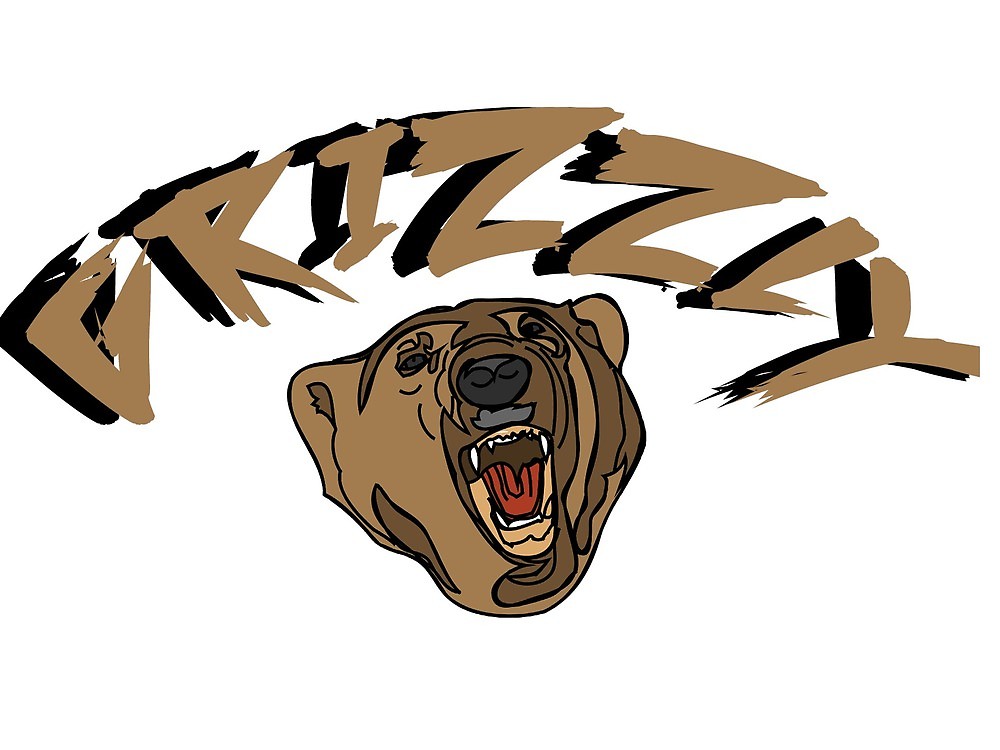 1000x750 Grizzly Bear Drawing