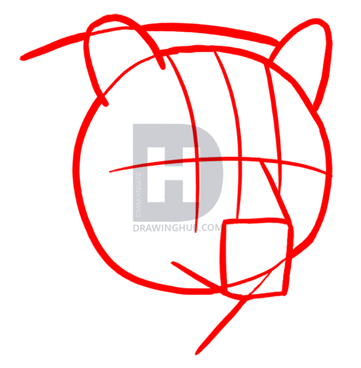 705x720 How To Draw Grizzly Bears, Step