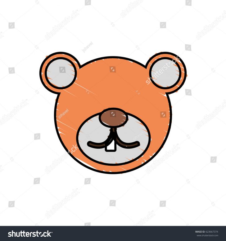 728x777 A Bear Face Drawing Grizzly Pooh Baby Polar Brown Panda Iydunetwork