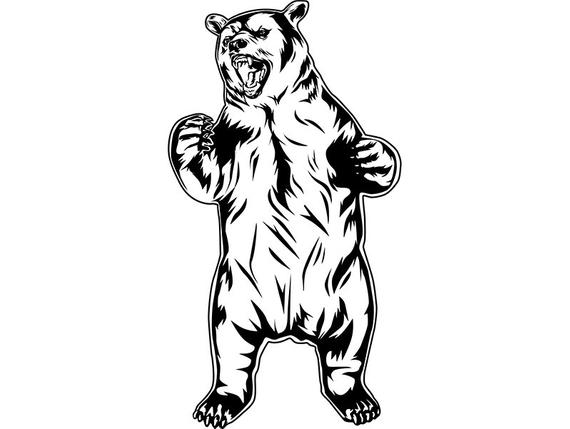 570x429 Grizzly Bear Angry Standing Wild Animal Growling Beast Etsy