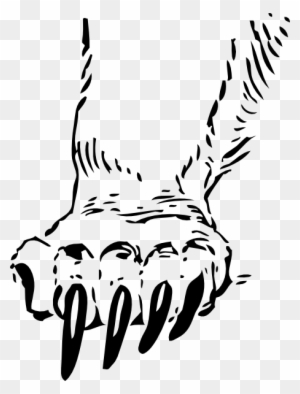 300x394 Grizzly Bear Clipart, Transparent Png Clipart Images Free Download