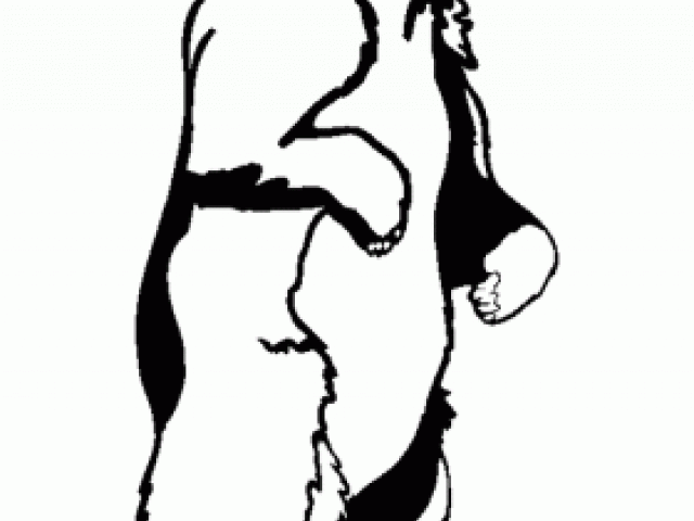 640x480 Grizzly Clipart Standing Bear