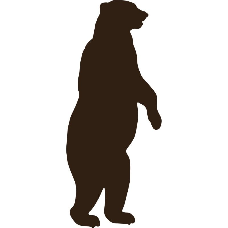 800x800 Standing Grizzly Bear Silhouette Images Room Bear Silhouette