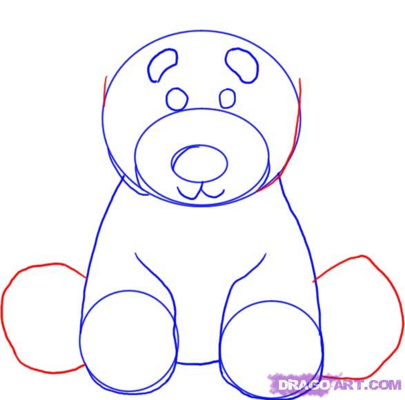 587x580 Draw Black Bear, Step
