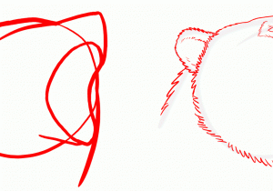 300x210 drawing bear face how to draw a bear head grizzly bear face