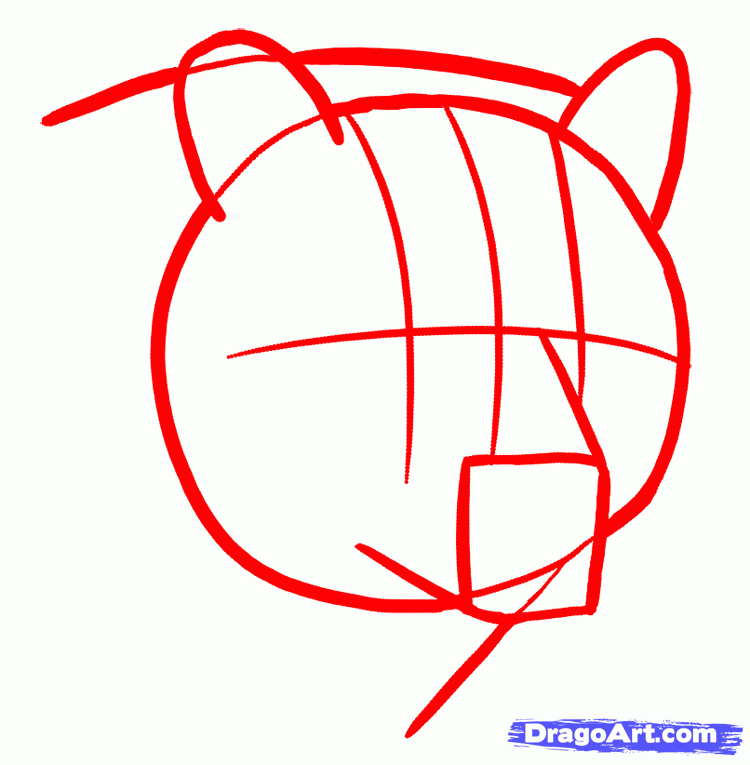 750x765 How To Draw Grizzly Bears, Step