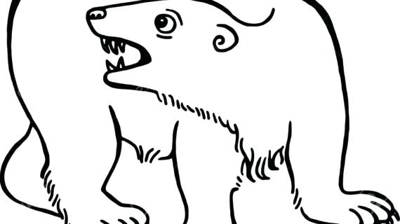 570x320 Bear Drawing Godshelters