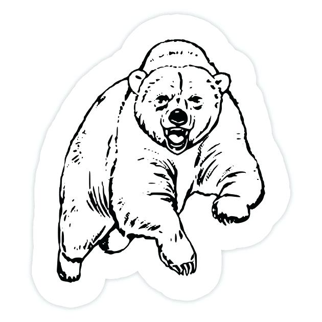 Grizzly Bear Drawing Step By Step | Free download on ClipArtMag