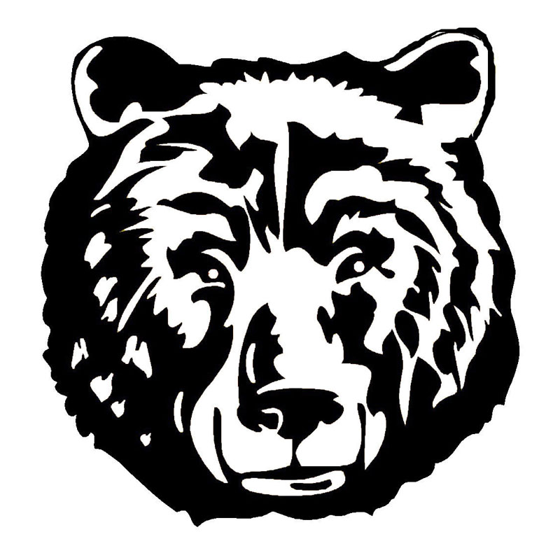 800x800 Grizzly Bear Face Clipart