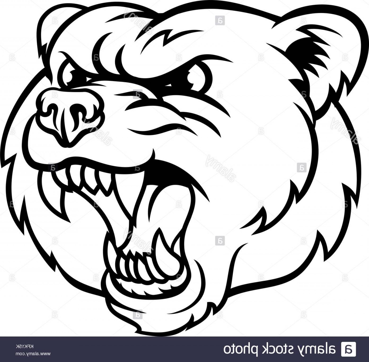 1560x1532 Grizzly Bear Vector Art Sohadacouri