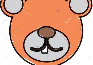 300x210 drawing of a bear face how to draw a bear head grizzly bear face