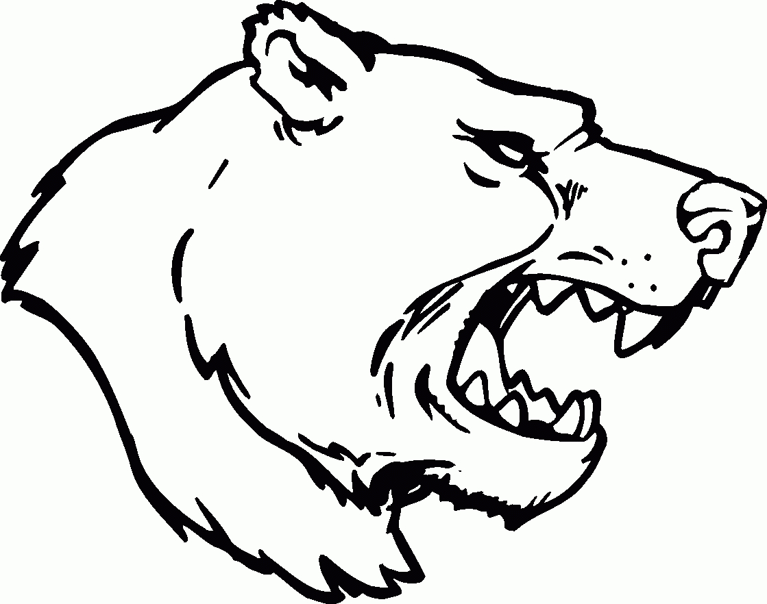 Grizzly Bear Head Drawing