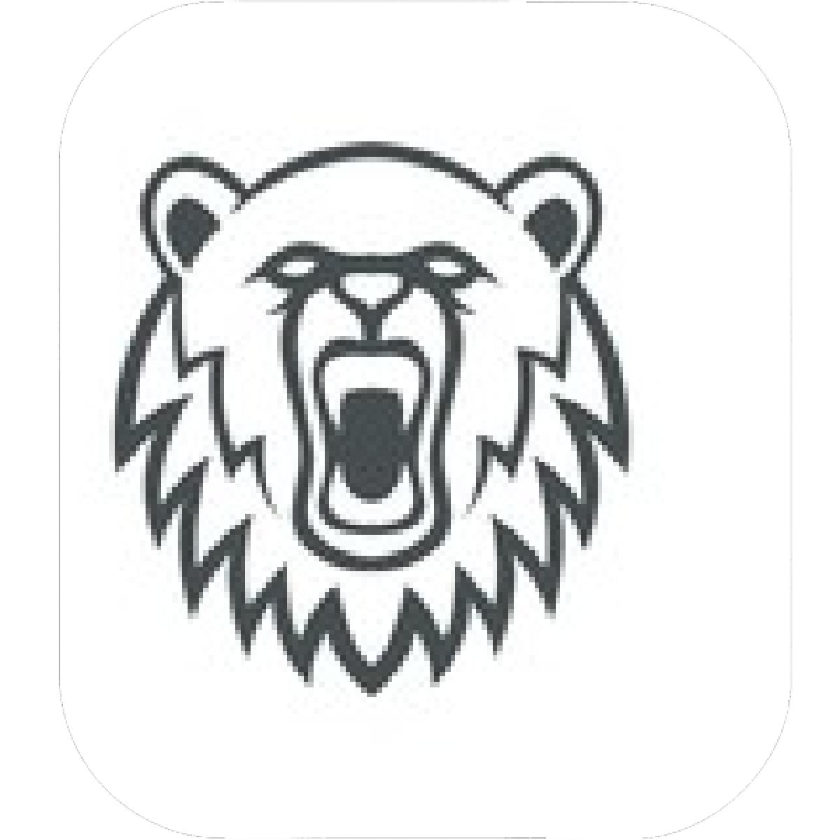 Дикий медведь логотип