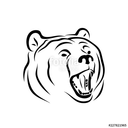 500x500 Grizzly Bear Stock Image And Royalty Free Vector On Fotolia