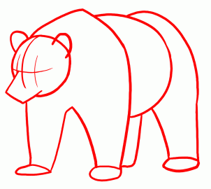 302x270 How To Draw Grizzly Bears, Step