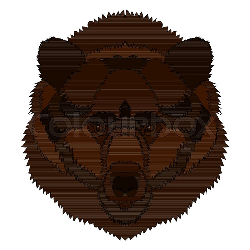 800x800 Illustration Of A Bear S Head Vector Stock Vector Colourbox