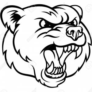 300x300 Photogrizzly Bear Mascot Head Vector Graphic Sohadacouri