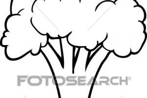 300x200 Polar Express Coloring Pages Beautiful Grizzly Bear Head Drawing