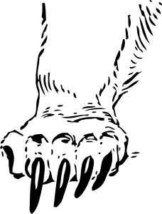 228x300 Drawing Bear Free Download On Unixtitan