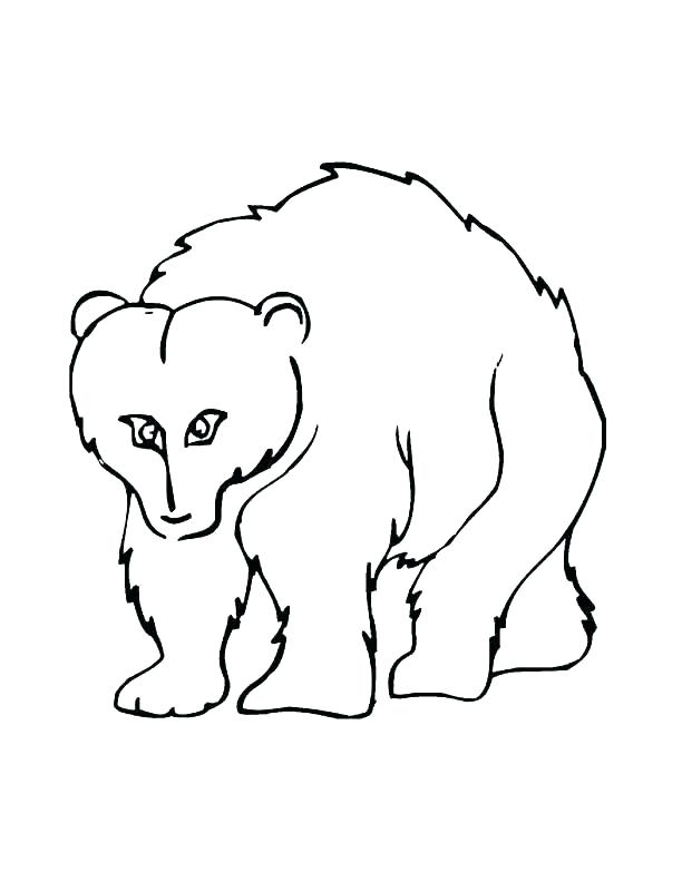 Grizzly Bear Line Drawing | Free download on ClipArtMag