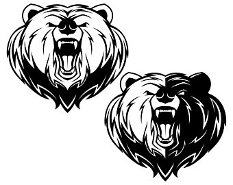 340x270 Grizzly Illustration Etsy