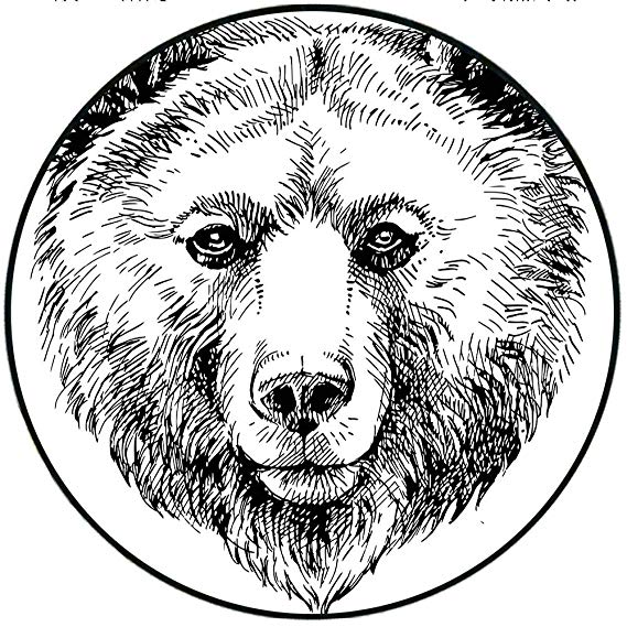 569x569 Short Plush Round Rug Animal Hand Sketch Grizzly Bear