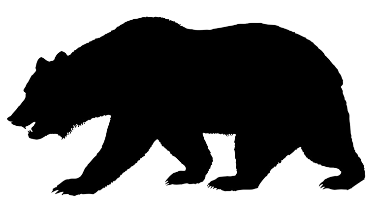 768x446 Collection Of Free Cliff Drawing Black Bear Download On Ui Ex