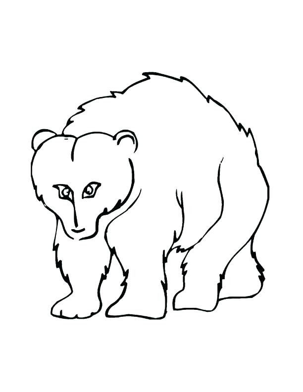 Grizzly Bear Pencil Drawing | Free download on ClipArtMag