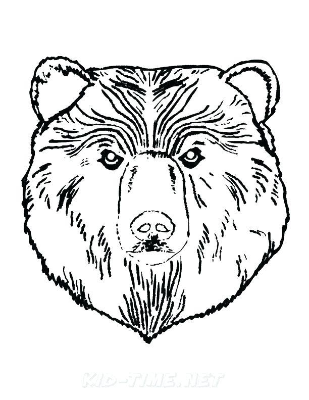 612x792 coloring pages bear grizzly of bears c klubfogyas