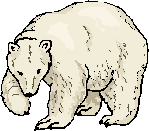 490x431 Grizzly Bear Clipart Line Drawing