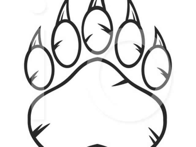 640x480 Grizzly Bear Clipart Line Drawing