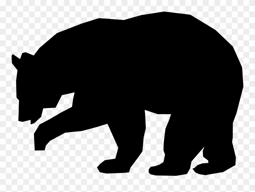 880x665 american black bear polar bear grizzly bear drawing