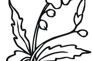 300x200 Grocery List Clipart Clipart Station