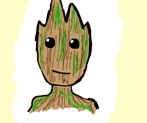 300x250 Groot
